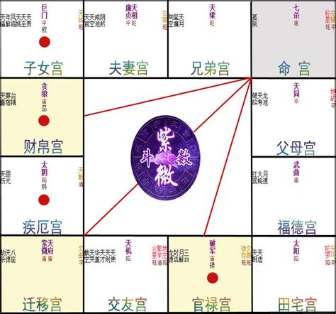 紫微斗數十二宮|紫微宮位